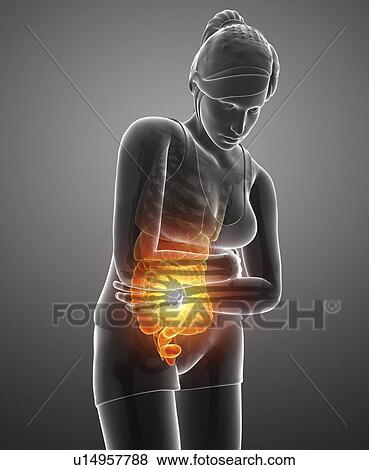 Woman with abdominal pain, computer illustration. View Large Photo Image Stock Photo - Woman with abdominal pain, computer illustration.. Fotosearch