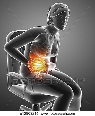 Woman with abdominal pain, computer illustration. View Large Photo Image Stock Photography - Woman with abdominal pain, computer illustration.. Fotosearch