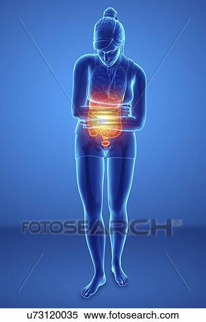 Stock Photography - Woman with abdominal pain, computer illustration.. Fotosearch