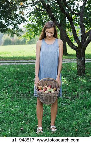 Stock Photo - Woman with basket of apples. Fotosearch