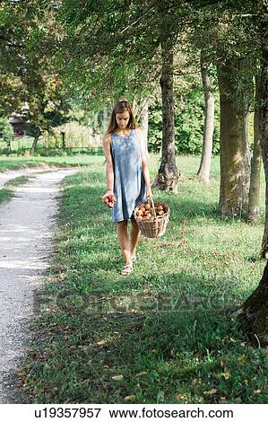 Woman with basket of apples View Large Photo Image Stock Photo - Woman with basket of apples. Fotosearch