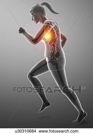 Woman with chest pain, computer illustration. View Large Photo Image Picture - Woman with chest pain, computer illustration.. Fotosearch