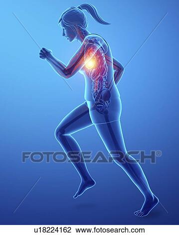 Stock Image - Woman with chest pain, computer illustration.. Fotosearch