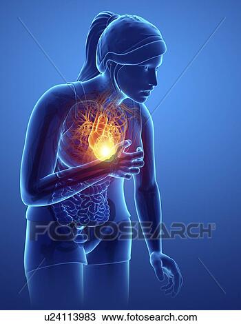 Woman with chest pain, computer illustration. View Large Photo Image Stock Image - Woman with chest pain, computer illustration.. Fotosearch