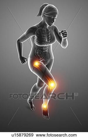Woman with leg pain, computer illustration. View Large Photo Image Stock Photo - Woman with leg pain, computer illustration.. Fotosearch