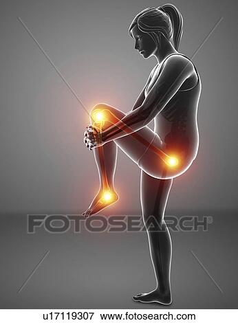Woman with leg pain, computer illustration. View Large Photo Image Stock Photo - Woman with leg pain, computer illustration.. Fotosearch