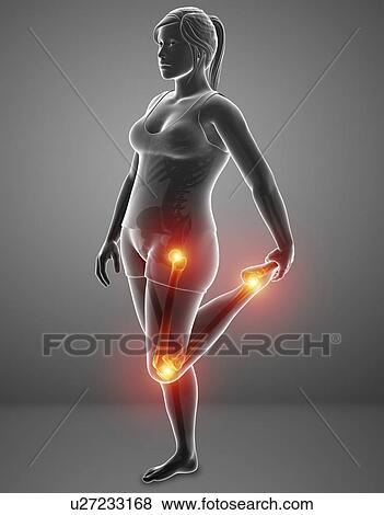 Woman with leg pain, computer illustration. View Large Photo Image Stock Photo - Woman with leg pain, computer illustration.. Fotosearch