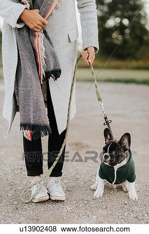 Woman with puppy on lead View Large Photo Image Stock Photo - Woman with puppy on lead. Fotosearch