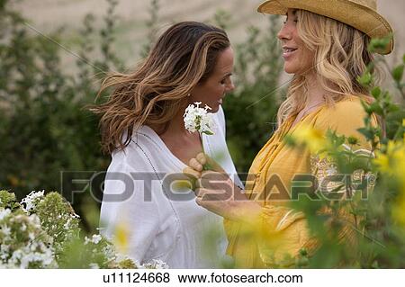 Stock Photo - Women working on garden in countryside. Fotosearch