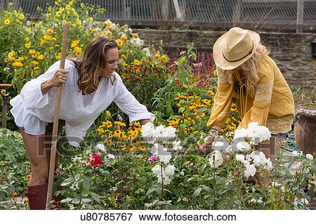 Women working on garden View Large Photo Image Stock Photo - Women working on garden. Fotosearch