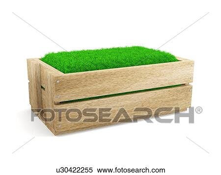 Wooden box filled with grass, illustration. View Large Photo Image Stock Photography - Wooden box filled with grass, illustration.. Fotosearch