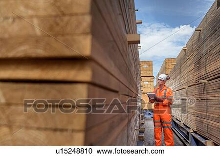 Worker with stacks of timber in storage at port View Large Photo Image Stock Image - Worker with stacks of timber in storage at port. Fotosearch