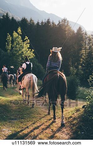 Young adult friends horse riding by forest, rear view, Primaluna, Trentino-Alto Adige, Italy View Large Photo Image Stock Photo - Young adult friends horse riding by forest, rear view, Primaluna, Trentino-Alto Adige, Italy. Fotosearch