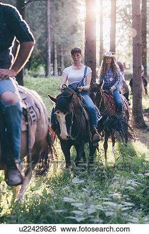 Young adult friends horse riding in sunlit forest, Primaluna, Trentino-Alto Adige, Italy View Large Photo Image Stock Photograph - Young adult friends horse riding in sunlit forest, Primaluna, Trentino-Alto Adige, Italy. Fotosearch