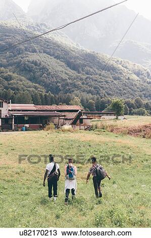 Stock Image - Young adult hikers hiking across field, rear view, Primaluna, Trentino-Alto Adige, Italy. Fotosearch