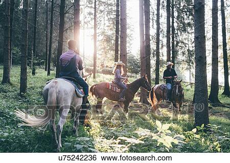 Young adults horse riding in sunlit forest, Primaluna, Trentino-Alto Adige, Italy View Large Photo Image Stock Photograph - Young adults horse riding in sunlit forest, Primaluna, Trentino-Alto Adige, Italy. Fotosearch