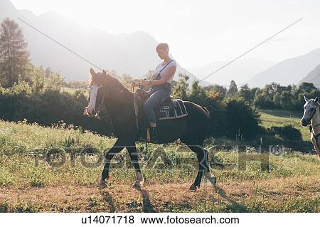 Young woman horse riding in field, Primaluna, Trentino-Alto Adige, Italy View Large Photo Image Stock Photo - Young woman horse riding in field, Primaluna, Trentino-Alto Adige, Italy. Fotosearch