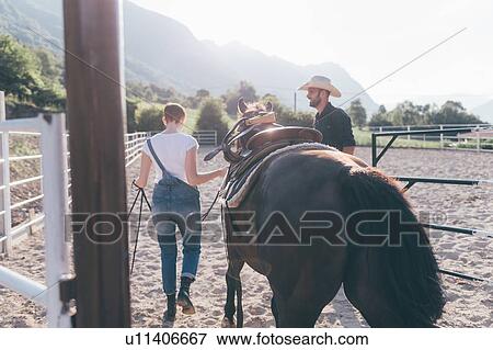 Young woman leading horse in rural equestrian arena View Large Photo Image Stock Photo - Young woman leading horse in rural equestrian arena. Fotosearch