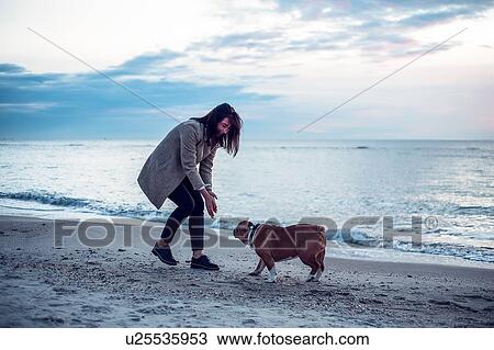 Stock Image - Young woman playing with pet dog on beach. Fotosearch