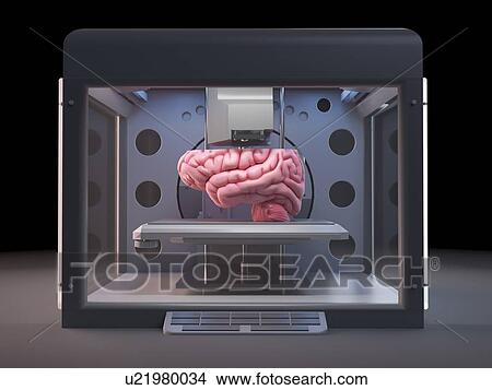 3d rendered illustration of a 3d printer printing a brain. View Large Photo Image Picture - 3d rendered illustration of a 3d printer printing a brain.. Fotosearch