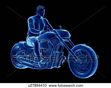 Stock Image - 3d rendered illustration of a biker.. Fotosearch