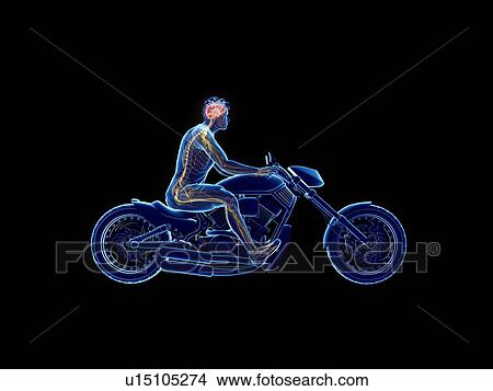 Picture - 3d rendered illustration of a biker's brain.. Fotosearch