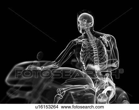 Picture - 3d rendered illustration of a biker's skeleton.. Fotosearch