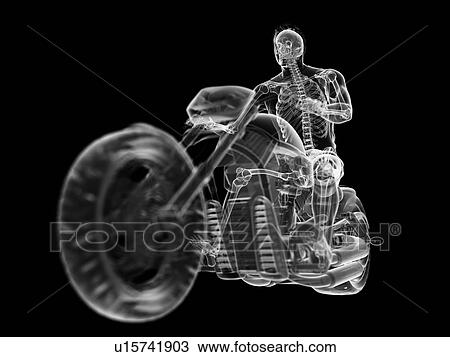3d rendered illustration of a biker's skeleton. View Large Photo Image Stock Image - 3d rendered illustration of a biker's skeleton.. Fotosearch