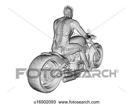 Stock Image - 3d rendered illustration of a biker's skeleton.. Fotosearch