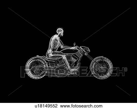 Stock Image - 3d rendered illustration of a biker's skeleton.. Fotosearch