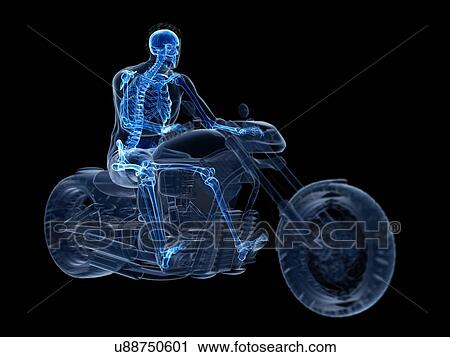 3d rendered illustration of a biker's skeleton. View Large Photo Image Stock Image - 3d rendered illustration of a biker's skeleton.. Fotosearch