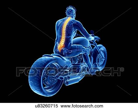 Stock Photography - 3d rendered illustration of a biker's spine.. Fotosearch