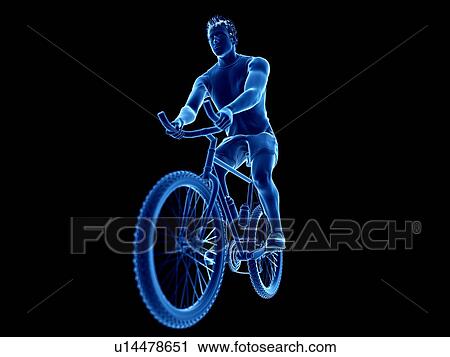 Stock Image - 3d rendered illustration of a cyclist.. Fotosearch