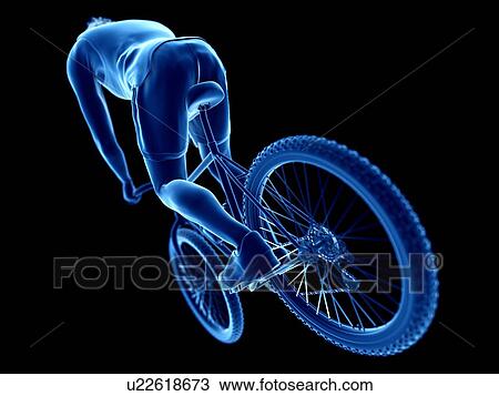Stock Image - 3d rendered illustration of a cyclist.. Fotosearch