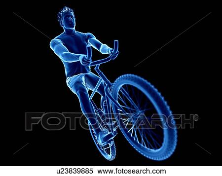 3d rendered illustration of a cyclist. View Large Photo Image Stock Photography - 3d rendered illustration of a cyclist.. Fotosearch