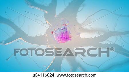 Picture - 3d rendered illustration of a human nerve cell.. Fotosearch