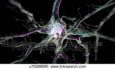 3d rendered illustration of a human nerve cell. View Large Photo Image Stock Image - 3d rendered illustration of a human nerve cell.. Fotosearch