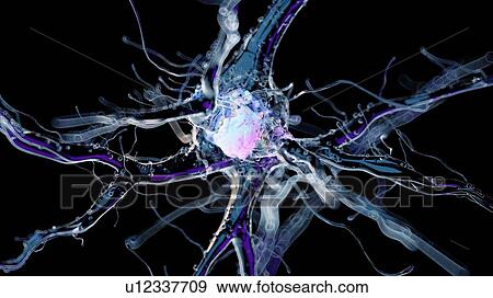 3d rendered illustration of a human nerve cell. View Large Photo Image Stock Photo - 3d rendered illustration of a human nerve cell.. Fotosearch