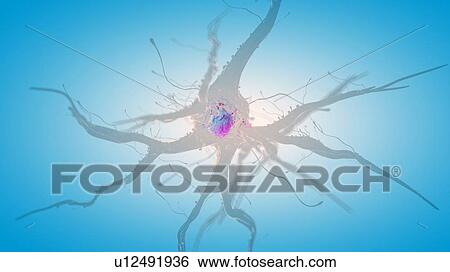 3d rendered illustration of a human nerve cell. View Large Photo Image Stock Photograph - 3d rendered illustration of a human nerve cell.. Fotosearch