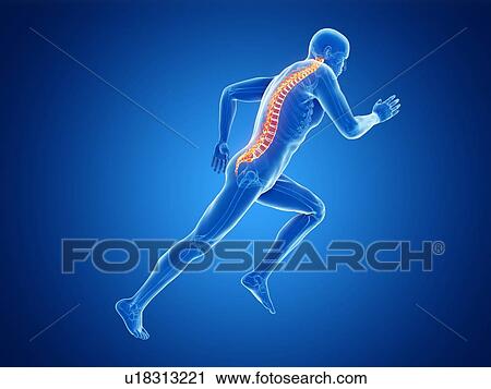 3d rendered illustration of a jogger's spine. View Large Photo Image Stock Image - 3d rendered illustration of a jogger's spine.. Fotosearch