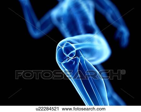 Stock Image - 3d rendered illustration of a jogger's knee.. Fotosearch
