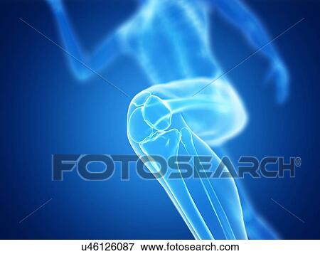 3d rendered illustration of a jogger's knee. View Large Photo Image Stock Photo - 3d rendered illustration of a jogger's knee.. Fotosearch