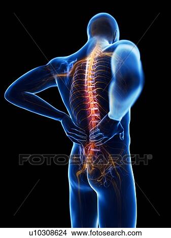 3d rendered illustration of a man with backache. View Large Photo Image Picture - 3d rendered illustration of a man with backache.. Fotosearch