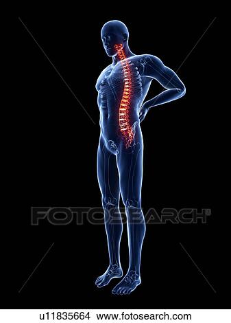 3d rendered illustration of a man with backache. View Large Photo Image Picture - 3d rendered illustration of a man with backache.. Fotosearch