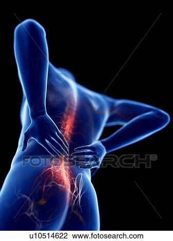 3d rendered illustration of a man with backache. View Large Photo Image Stock Image - 3d rendered illustration of a man with backache.. Fotosearch