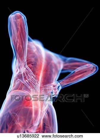 3d rendered illustration of a man with backache. View Large Photo Image Stock Image - 3d rendered illustration of a man with backache.. Fotosearch