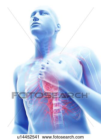 3d rendered illustration of a man with chest pain. View Large Photo Image Stock Image - 3d rendered illustration of a man with chest pain.. Fotosearch