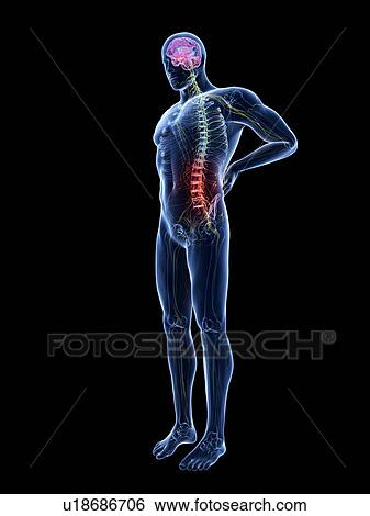 Stock Photograph - 3d rendered illustration of a man with backache.. Fotosearch