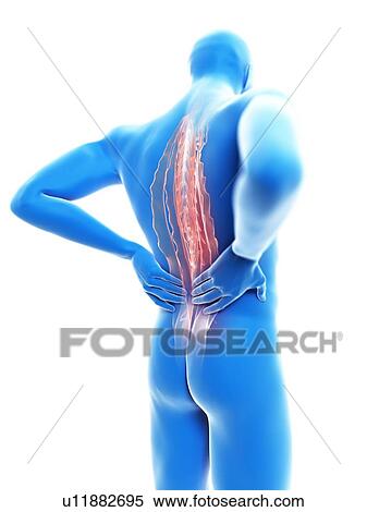 3d rendered illustration of a man with backache. View Large Photo Image Stock Photography - 3d rendered illustration of a man with backache.. Fotosearch