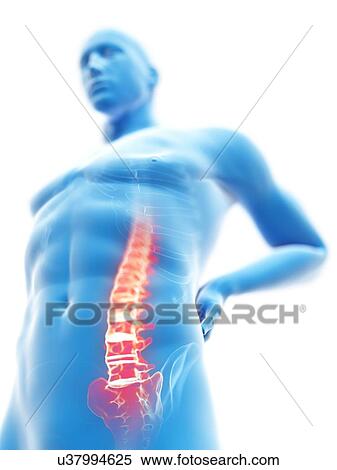 3d rendered illustration of a man with backache. View Large Photo Image Stock Photography - 3d rendered illustration of a man with backache.. Fotosearch